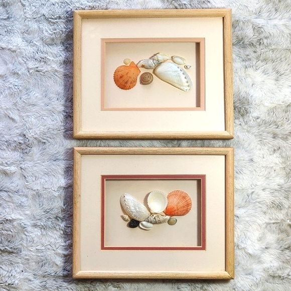 Vintage 2 Real Seashell Shadow Boxes Wooden Framed Wall Coastal Beach Art - Picture 1 of 9